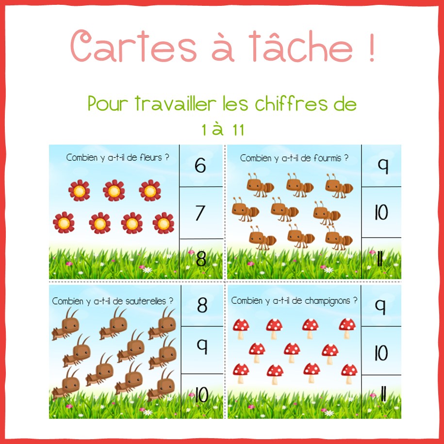 Dénombrement insectes